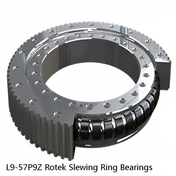 L9-57P9Z Rotek Slewing Ring Bearings