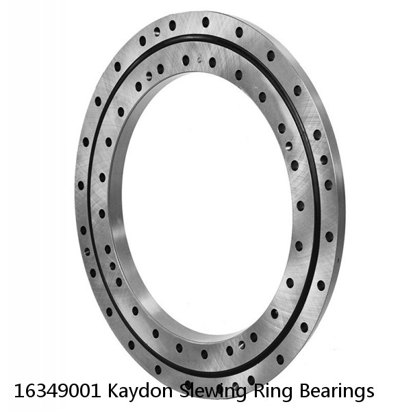 16349001 Kaydon Slewing Ring Bearings