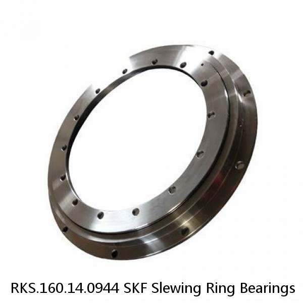 RKS.160.14.0944 SKF Slewing Ring Bearings #1 small image