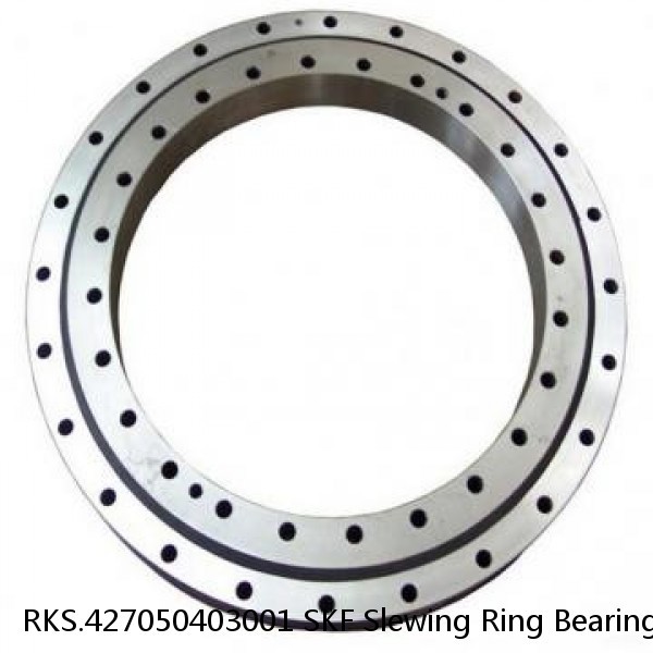 RKS.427050403001 SKF Slewing Ring Bearings #1 small image