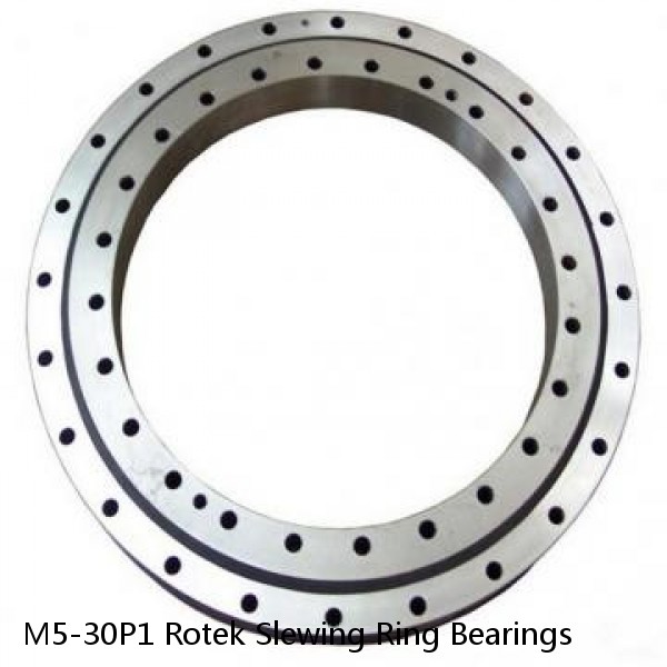 M5-30P1 Rotek Slewing Ring Bearings #1 small image