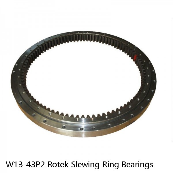 W13-43P2 Rotek Slewing Ring Bearings #1 small image