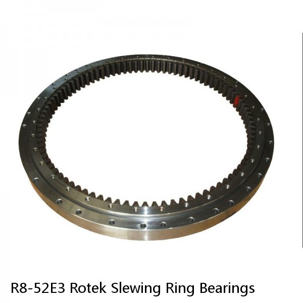 R8-52E3 Rotek Slewing Ring Bearings #1 small image