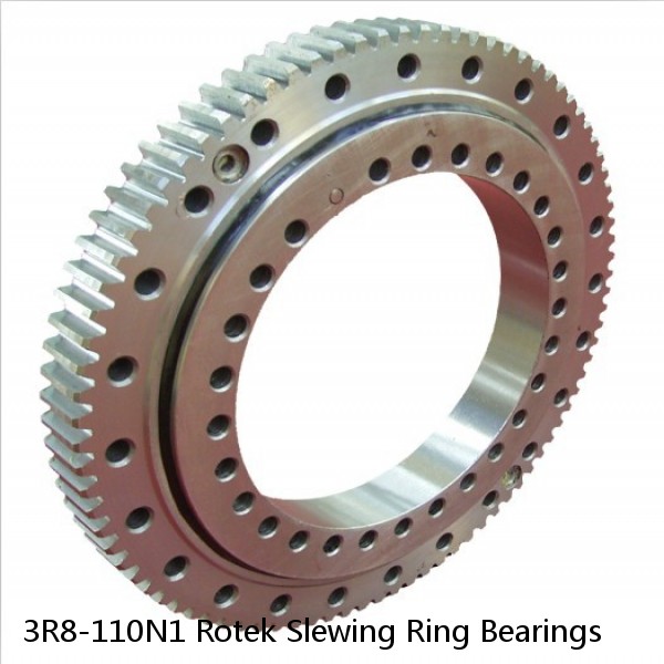 3R8-110N1 Rotek Slewing Ring Bearings #1 small image