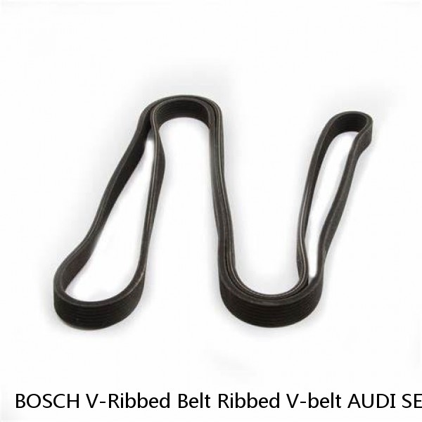 BOSCH V-Ribbed Belt Ribbed V-belt AUDI SEAT Alhambra VW Beetle 1987945731  (Fits: Audi) #1 small image