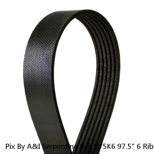 Pix By A&I Serpentine Belt 975K6 97.5" 6 Rib Belt
