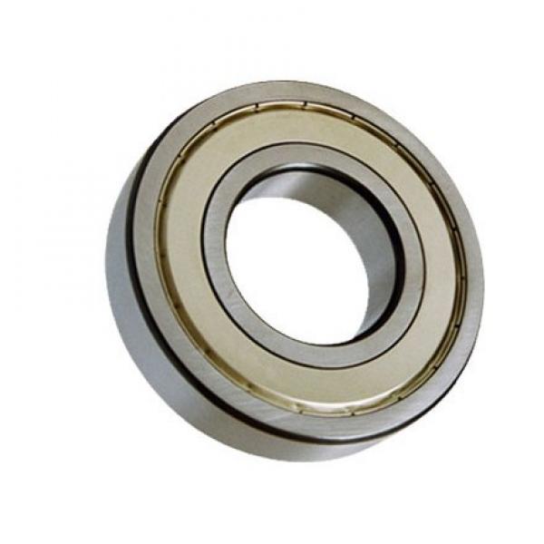 Carbon Bearing Stainless Steel Factory Custom Double Row 7204 Angular Contact Ball Bearing #1 image