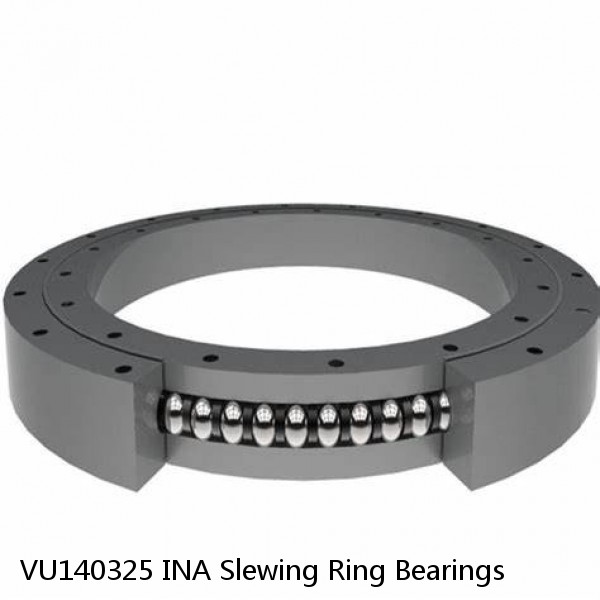 VU140325 INA Slewing Ring Bearings #1 image