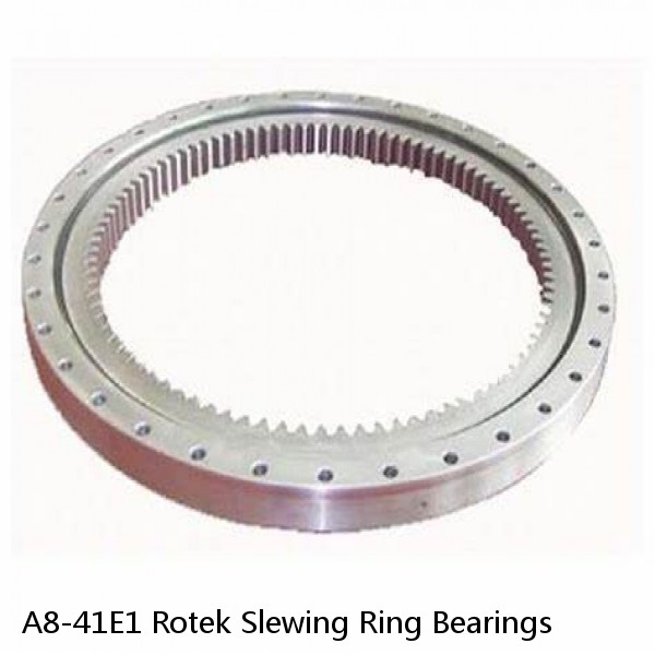 A8-41E1 Rotek Slewing Ring Bearings #1 image
